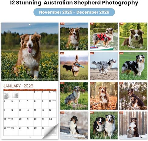 2026 Calendar, National Parks 2026 Wall Calendar, 14-Month (Nov 2025 - Dec 2026), 11.6 x 24 Inches (Opened), Thick Glossy Paper, Perfect Giftable Calendar in Kuwait