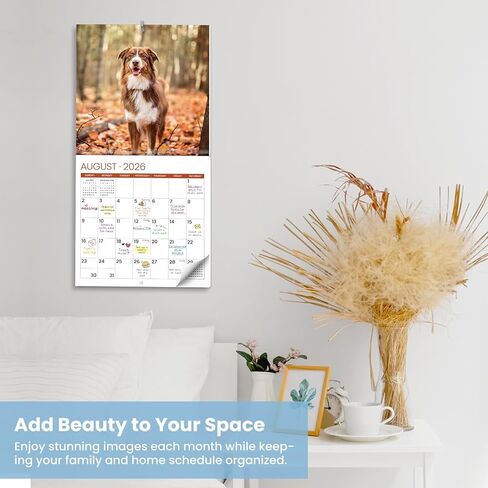 2026 Calendar, National Parks 2026 Wall Calendar, 14-Month (Nov 2025 - Dec 2026), 11.6 x 24 Inches (Opened), Thick Glossy Paper, Perfect Giftable Calendar in Kuwait