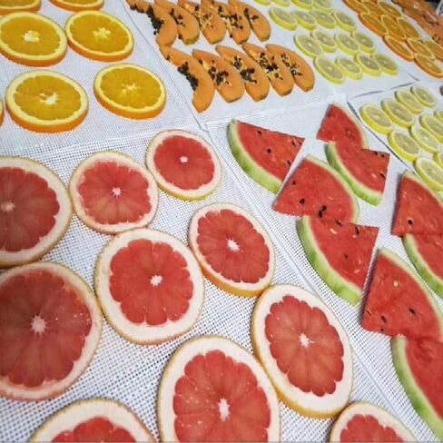 Yosoo Rectangular Digital Dehydrator Silicone Sheets, Reusable, Easy to Wash, 5 Pack, 29x37cm, with Dryer Mesh (As Shown) in Saudi Arabia