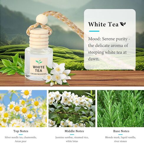 Car Air Freshener Oil Diffuser - Hanging Long Lasting Scent for Car & Home, Essential Oil Freshener with Adjustable Fragrance（Bamboo Rain+White Tea） in Kuwait