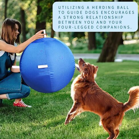 40 Inch Horse Ball Mega Herding Toy Ball for Horse Stall Boredom in Kuwait