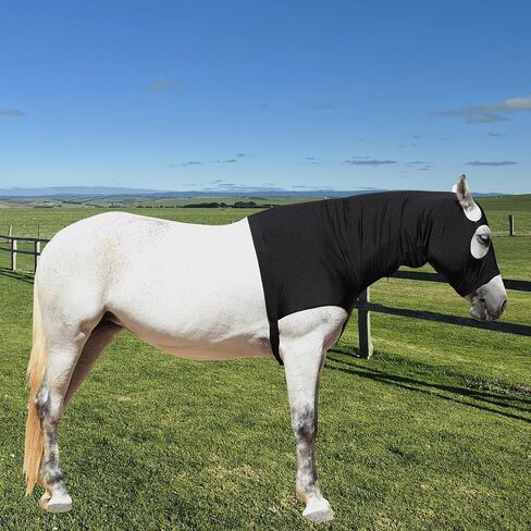 Lycra Stretch Horse Hood with Zip Full Face Neck Cover (Black, S) in Kuwait