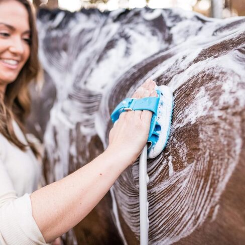 Aquapaw Dog Washer & Shower Attachment | Fast & Easy Indoor & Outdoor Pet Bathing, Massaging & Grooming | Includes 8-Foot Dog Shower Hose | Sprayer & Scrubber in 1 | As Seen on Shark Tank - Blue in Kuwait