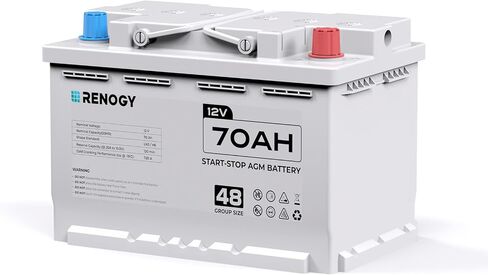 Renogy Deep Cycle AGM 12 Volt 100Ah Battery, 3% Self-Discharge Rate, 1100A Max Discharge Current, Safe Charge Appliances for RV, Camping, Cabin, Marine and Off-Grid System, Maintenance-Free in Saudi Arabia