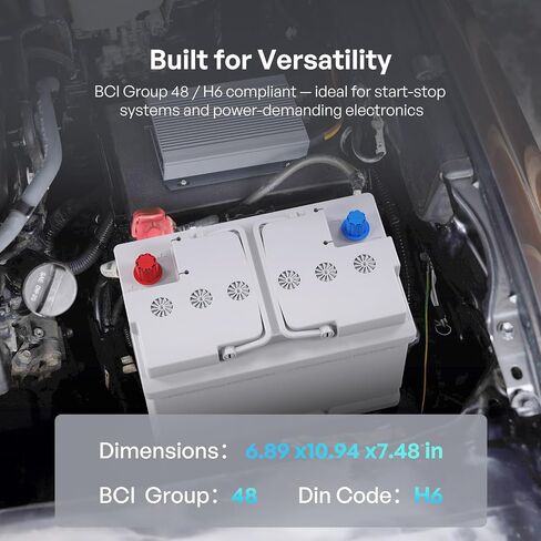 Renogy Deep Cycle AGM 12 Volt 100Ah Battery, 3% Self-Discharge Rate, 1100A Max Discharge Current, Safe Charge Appliances for RV, Camping, Cabin, Marine and Off-Grid System, Maintenance-Free in Saudi Arabia