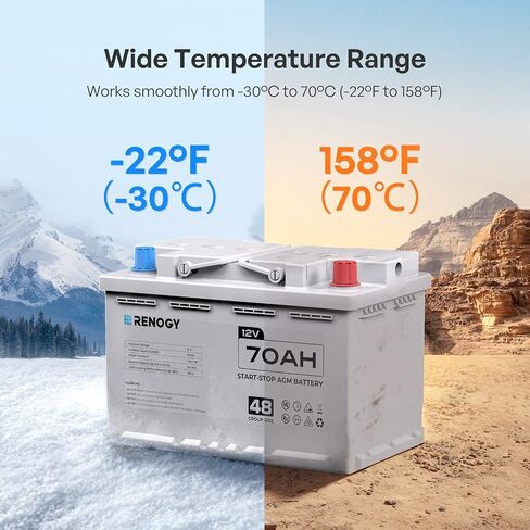Renogy Deep Cycle AGM 12 Volt 100Ah Battery, 3% Self-Discharge Rate, 1100A Max Discharge Current, Safe Charge Appliances for RV, Camping, Cabin, Marine and Off-Grid System, Maintenance-Free in Saudi Arabia