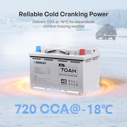 Renogy Deep Cycle AGM 12 Volt 100Ah Battery, 3% Self-Discharge Rate, 1100A Max Discharge Current, Safe Charge Appliances for RV, Camping, Cabin, Marine and Off-Grid System, Maintenance-Free in Saudi Arabia