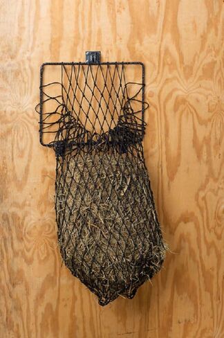 Hay Hoops II Quick Assemble Collapsible Wall Hay Feeder with Net in Saudi Arabia