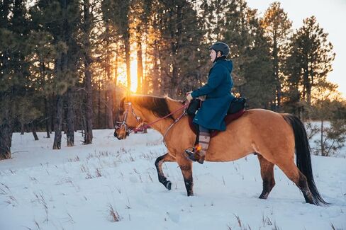 حقيبة سرج الحصان المدمجة ذات الجيب الإنجليزي من TrailMax مع غطاء زجاجة مياه لركوب الخيل، تعمل مع السروج الإنجليزية والقدرة على التحمل والأسترالية in Saudi Arabia