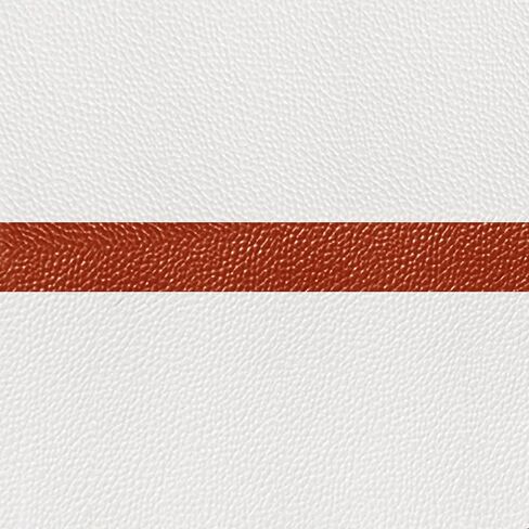 محفظة ترافيلامبو للنساء RFID بلوك متعدد الطي، محفظة بطاقات متعددة مع جيب بسحاب، محفظة RFID للنساء (أسود) in Kuwait