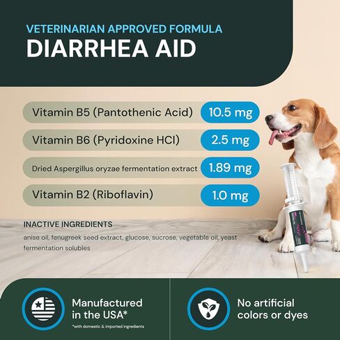 VetriScience Fast Balance GI Paste for Dogs and Cats, 35cc - Gastro Intestinal Support for Gut Health and Food Sensitivites in Saudi Arabia