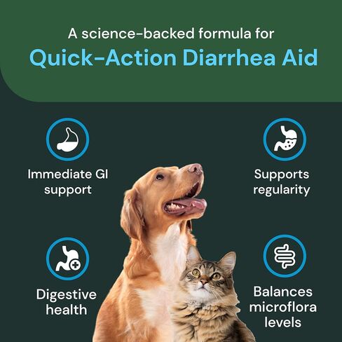 VetriScience Fast Balance GI Paste for Dogs and Cats, 35cc - Gastro Intestinal Support for Gut Health and Food Sensitivites in Saudi Arabia