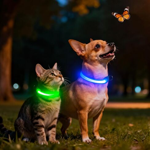 طوق الكلب vizpet LED، طوق الكلب المضيء قابل للتعديل عبر USB وقابل لإعادة الشحن وضوء أمان فائق السطوع وأطواق متوهجة للكلاب (متوسط، أخضر) in Kuwait
