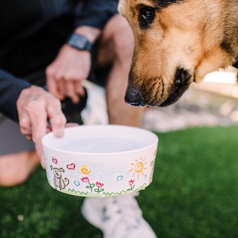 Loving Pets Dolce Moderno Dog Bowl – Modern Melamine Dog Food Bowl & Dog Water Bowl – Durable, Non-Slip Pet Dish for Small & Medium Dogs – Dishwasher Safe Dog Bowl (Small, 16 oz) in Kuwait