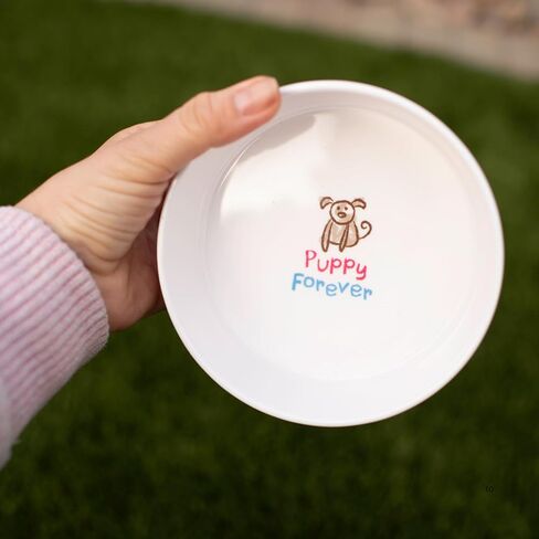 Loving Pets Dolce Moderno Dog Bowl – Modern Melamine Dog Food Bowl & Dog Water Bowl – Durable, Non-Slip Pet Dish for Small & Medium Dogs – Dishwasher Safe Dog Bowl (Small, 16 oz) in Kuwait