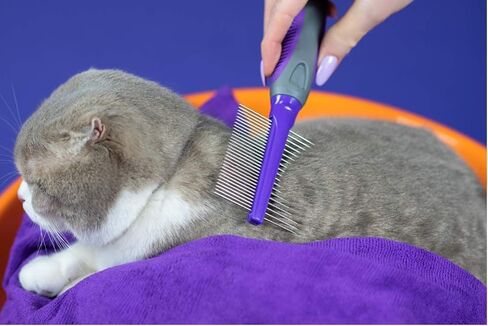 أمشاط هيرتزكو للحيوانات الأليفة - مشط صغير وكبير متضمن للمناطق الصغيرة والكبيرة - يزيل التشابك والعقد والفراء السائب والأوساخ - للاستخدام اليومي للكلاب والقطط ذات الشعر القصير أو الطويل (عبوة من قطعتين) in Kuwait