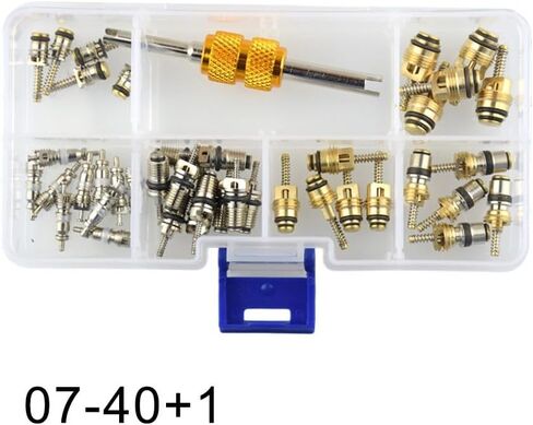 طقم إصلاح صمام التيار المتردد للسيارات المتوافق مع أنظمة R12 R134a يتضمن 50 مركزًا وأداة إزالة in Kuwait