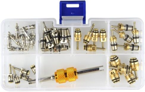 طقم إصلاح صمام التيار المتردد للسيارات المتوافق مع أنظمة R12 R134a يتضمن 50 مركزًا وأداة إزالة in Kuwait