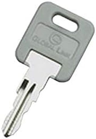 مفتاح استبدال Group G-307 Global Link G-Series - #307، كل منهما in Kuwait