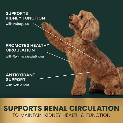 VetriScience Laboratories - UT Strength STAT for Dogs, Urinary Tract Support Supplement for Dogs, 90 Chewable Tablets in Kuwait
