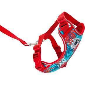 RC Pets Adventure Kitty Harness، حزام مشي للقطط، صغير، جزر المالديف