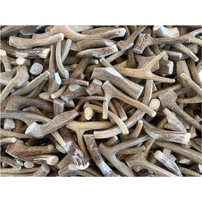 Premium Deer Antler Pieces - Dog Chews - Sold by The Pound