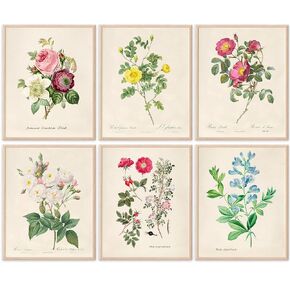 Vintage Roses Wall Art Prints (Set of 6) - Unframed - 8x10s | Botanical Decor - Vintage Sketch Prints - French Country - Flower Aesthetic Room Decor