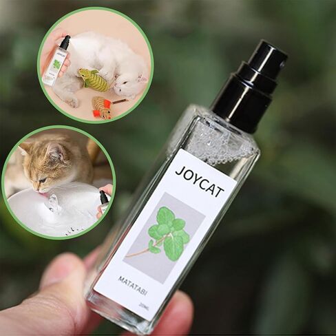 leej كيتي الفرح العشبية القط الفرح، رذاذ النعناع البري للقطط الداخلية، رذاذ الفرح القط العشبية، الكرفس الحيوانات الأليفة رذاذ النعناع البري، فرح القط العشبية، القط العشبية الفرح الكرفس الحيوانات الأليفة in Kuwait