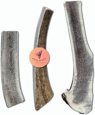 One Rock-N-Ace Premium Grade-A Split Elk Antlers for Dogs - 9" Medium, Dogs, 38-75lbs, Naturally Shed Split Antlers for Dogs with Exposed Marrow Bones, Dog Antler for Light & Moderate Chewers in Saudi Arabia