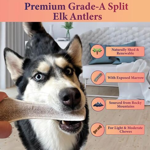One Rock-N-Ace Premium Grade-A Split Elk Antlers for Dogs - 9" Medium, Dogs, 38-75lbs, Naturally Shed Split Antlers for Dogs with Exposed Marrow Bones, Dog Antler for Light & Moderate Chewers in Saudi Arabia