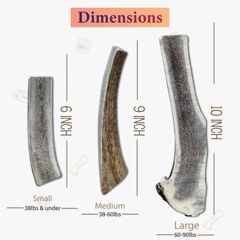 One Rock-N-Ace Premium Grade-A Split Elk Antlers for Dogs - 9" Medium, Dogs, 38-75lbs, Naturally Shed Split Antlers for Dogs with Exposed Marrow Bones, Dog Antler for Light & Moderate Chewers in Saudi Arabia