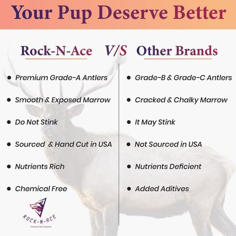 One Rock-N-Ace Premium Grade-A Split Elk Antlers for Dogs - 9" Medium, Dogs, 38-75lbs, Naturally Shed Split Antlers for Dogs with Exposed Marrow Bones, Dog Antler for Light & Moderate Chewers in Saudi Arabia