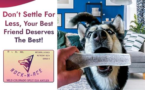 One Rock-N-Ace Premium Grade-A Split Elk Antlers for Dogs - 9" Medium, Dogs, 38-75lbs, Naturally Shed Split Antlers for Dogs with Exposed Marrow Bones, Dog Antler for Light & Moderate Chewers in Saudi Arabia