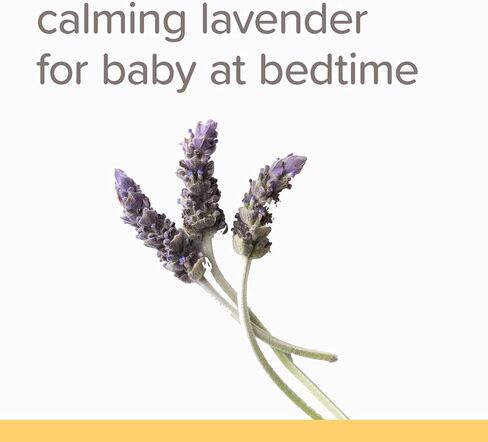 شامبو وغسول الأطفال من بيرت بيز، مهدئ، 12 أونصة (عبوة من 3 قطع) (قد تختلف التعبئة) in Kuwait