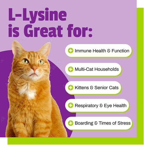 Pet Naturals Lysine for Cats, Chicken Flavor, 60 Chews - Immune and Respiratory Support for Cats - No Wheat or Corn - Vet Recommended in Saudi Arabia