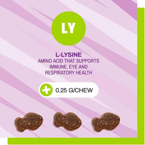 Pet Naturals Lysine for Cats, Chicken Flavor, 60 Chews - Immune and Respiratory Support for Cats - No Wheat or Corn - Vet Recommended in Saudi Arabia