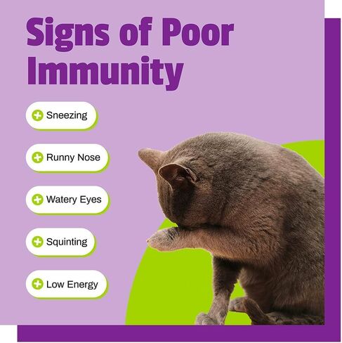 Pet Naturals Lysine for Cats, Chicken Flavor, 60 Chews - Immune and Respiratory Support for Cats - No Wheat or Corn - Vet Recommended in Saudi Arabia