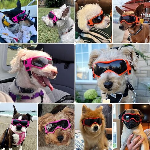 Dog Goggles Small Breed, Dog Sunglasses UV Protection Puppy Eyewear for Small Pet Outdoor Riding Driving, Black S in Saudi Arabia