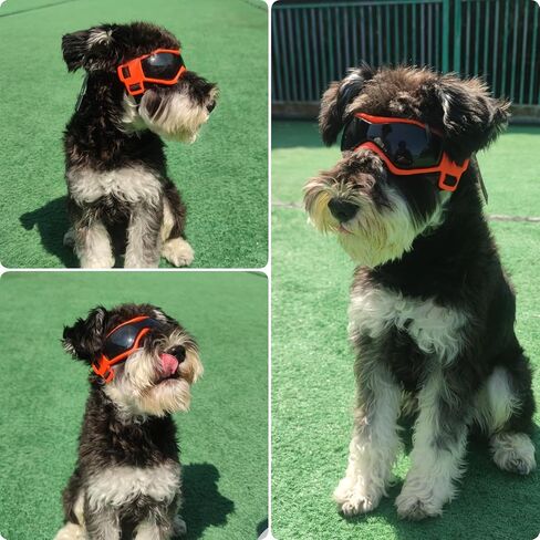 Dog Goggles Small Breed, Dog Sunglasses UV Protection Puppy Eyewear for Small Pet Outdoor Riding Driving, Black S in Saudi Arabia