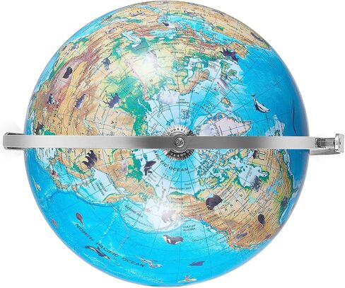 VEVOR Educational World Globe، 10 بوصة/254 مم، كرة أرضية تفاعلية للأطفال، مع تطبيق AR Golden، دوران 720 درجة، إضاءة LED ليلية، 197 معرفة ناشيونال جيوغرافيك، لعبة STEM، للأطفال من سن 4 إلى 10 سنوات in Kuwait