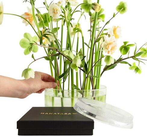 Flower Frog Ring 150mm/5.9" – Clear Plastic Kenzan-Style Arrangement Holder for DIY Floral Design, Ikebana, Home Decor & Wedding Centerpieces (1 Piece) in Kuwait