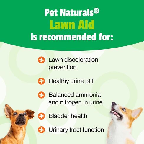 Pet Naturals UT Support Urinary Tract Supplement for Cats, 60 Chews in Saudi Arabia