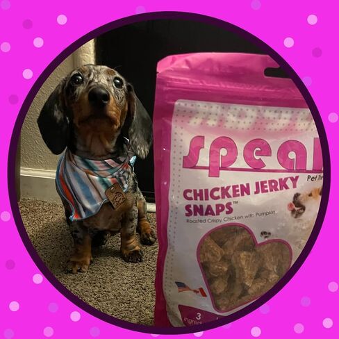 Speak Dog Beef Jerky Snaps, Natural Gluten Free Low Calorie Training Treat Snack with Sweet Potato, Perfect for Dogs, 14 Ounces in Saudi Arabia