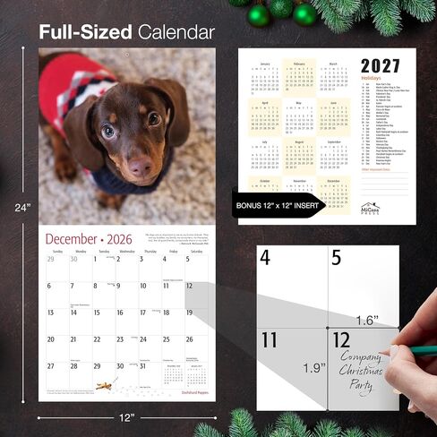 MICASA PRESS Dachshund Puppies 2026 تقويم الحائط لمدة 12 شهرًا | ورق سميك وقوي | هدية العيد | لطيف جرو وينر الكلب التقويم 2026 in Kuwait