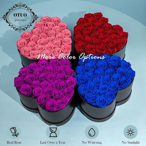 Otuo 21-Piece Preserved Roses in Gift Box, Real Eternal Rose Flower Gifts for Girlfriend, Mom, Women, Wife, Birthday Anniversary and Valentine's Day (Red) in Kuwait