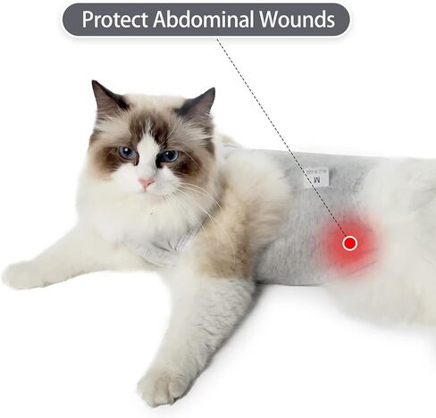 Cat Recovery Suit for Male and Female Surgical Post Surgery Soft Cone Onesie Shirt Clothes Neuter Licking Protective Diapers Outfit Cover Kitten Spay Collar(L, Grey) in Saudi Arabia