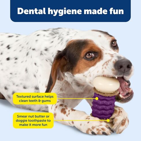 PetSafe Large Sportsmen Nobbly Nubbly Pet Chew Toy in Saudi Arabia