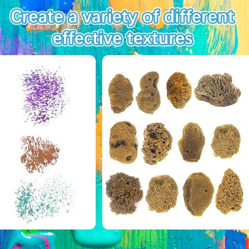 Natural Sea & Synthetic Sponges - Assorted Sizes 12pc Value Pack for Crafts & Artists: Great for Painting, Hobbies, Art, Effects, Ceramics, Clay, Pottery (12) in Saudi Arabia