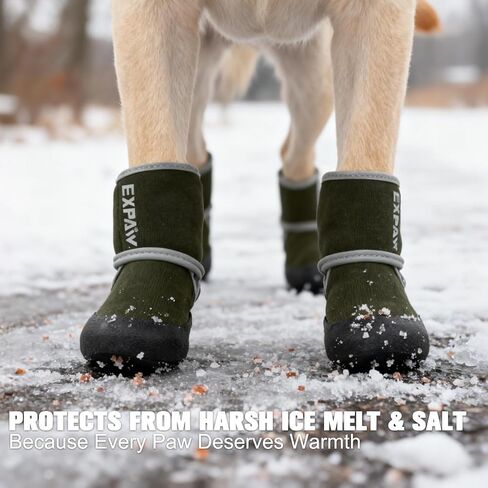 EXPAWLORER Waterproof Dog Shoes for Small Medium Large Dogs, Dog Shoes for Hot Pavement, Hiking Walking, Reflective Dog Booties for Outdoor Snow Rain Days, Anti-Slip Dog Boots & Paw Protectors in Kuwait