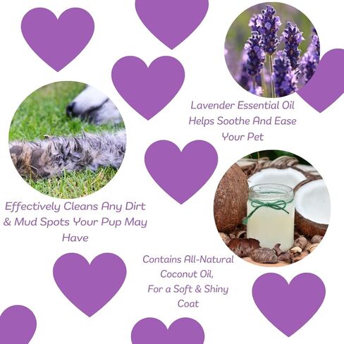 Speak Pet Products Natural Waterless Bath Spray, Moisturizing Coconut Papaya, for Dogs, 8oz in Kuwait